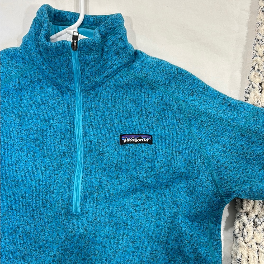 Patagonia Blue Quarter-Zip Pullover